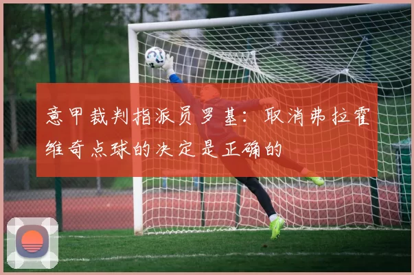 意甲裁判指派员罗基：取消弗拉霍维奇点球的决定是正确的
