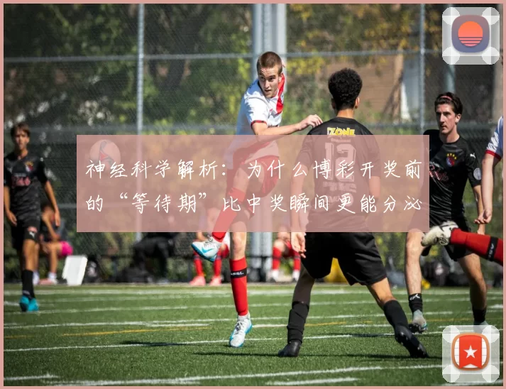 神经科学解析：为什么博彩开奖前的“等待期”比中奖瞬间更能分泌多巴胺？（神经科学视角：为何开奖前的期待比中奖瞬间更能激发多巴胺）